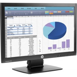 HP Monitor ProDisplay 20" - Modello P202
